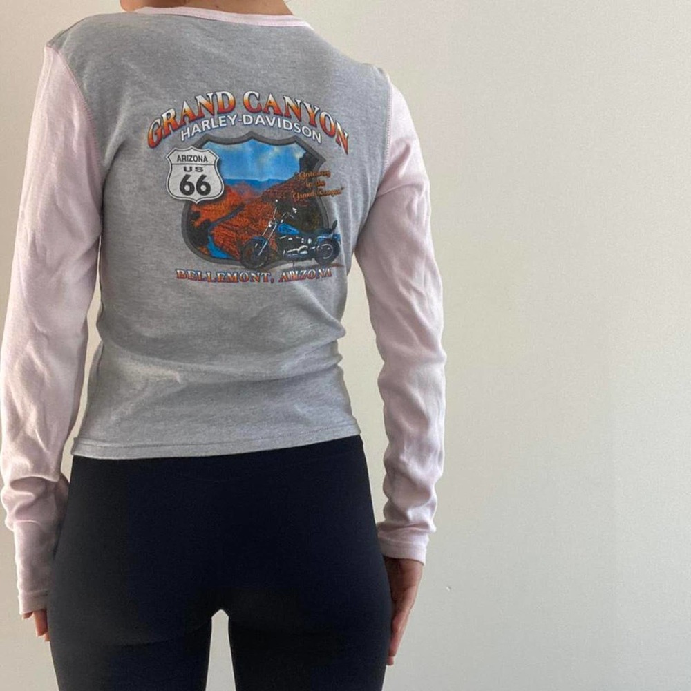 Grey grand canyon harley tee - Picture 3 of 4